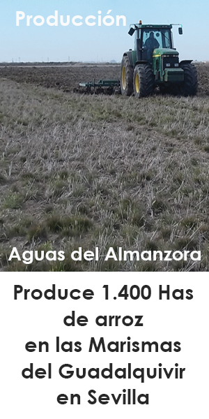 https://www.aguasalmanzora.com/