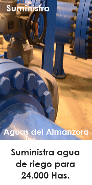 https://www.aguasalmanzora.com/