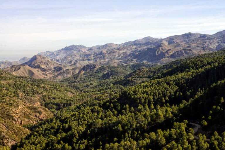 Sin respuesta a la propuesta de un retén del Infoca en Bédar