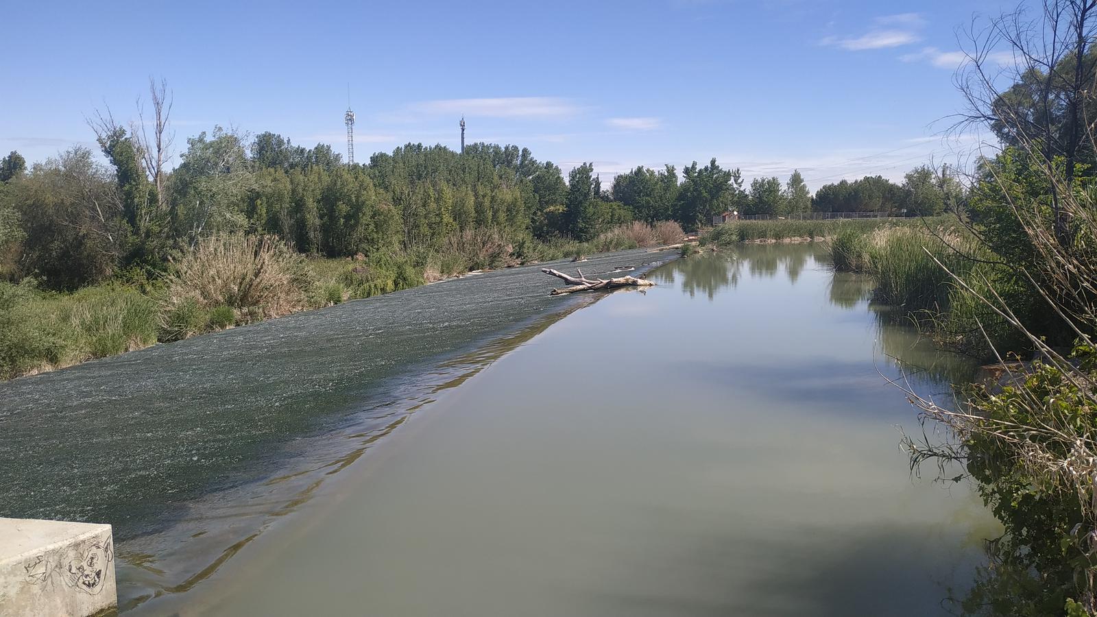 Ecologistas madrileños se oponen a la venta de agua del Tajo a la Comarca