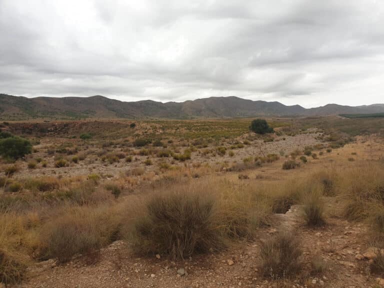 Antas tendrá que esperar a junio para ingresar 10 millones por la plantafotovoltaica Andrea