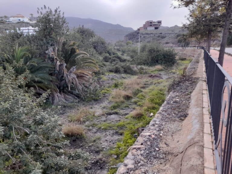 La Junta de Andalucía finalizará la restauración fluvial de las ramblas de Mojácar este verano
