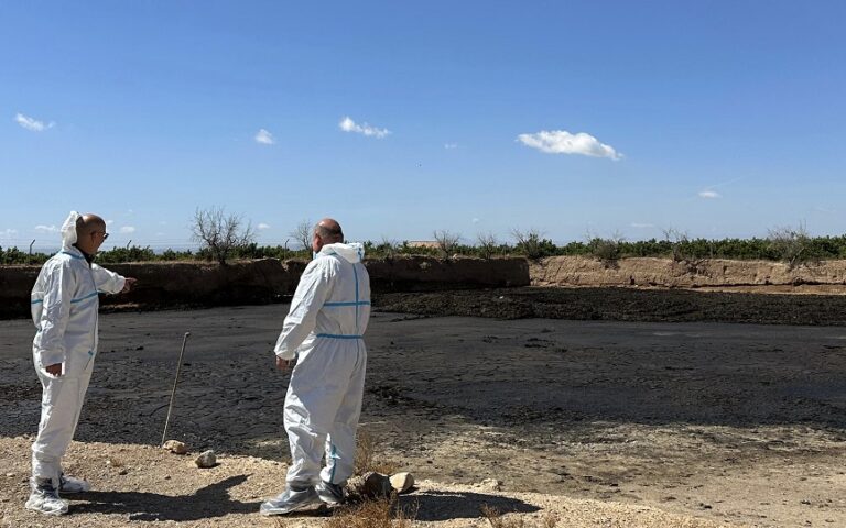 Una empresa invertirá 30 millones en Huércal Overa para transformar en energía el 25% de los purines