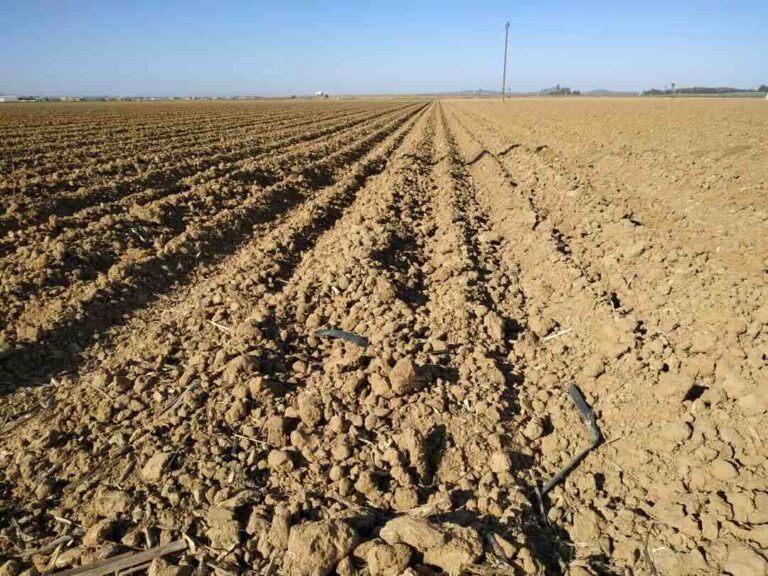 Ya hay pronunciamiento: el Gobierno niega a Aguas del Almanzora los 31,8 Hm3 comprados al Canal de las Aves
