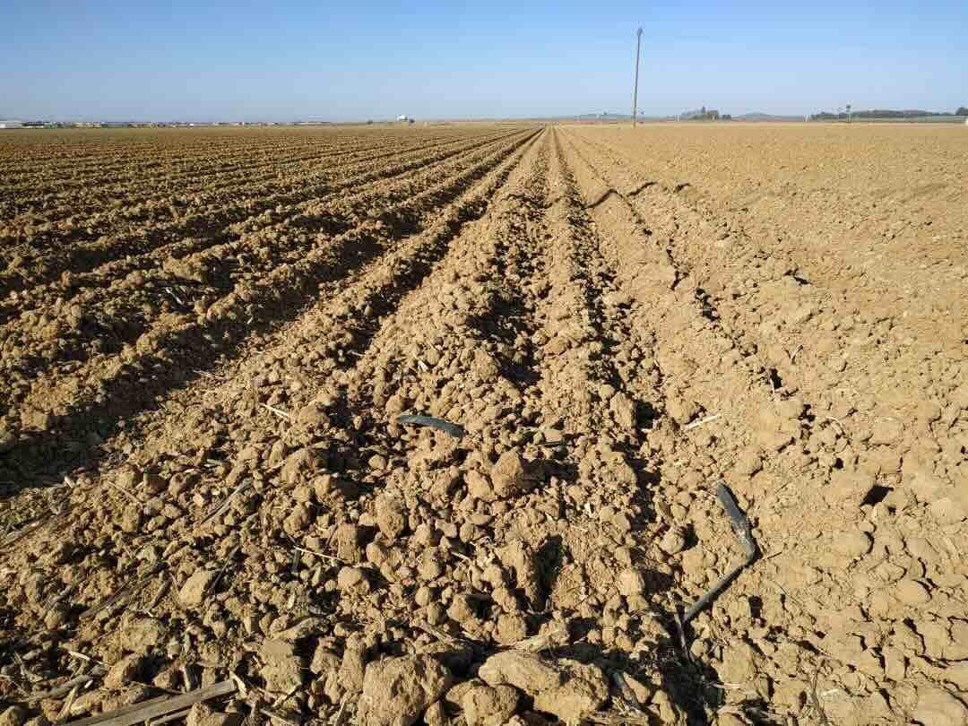 Ya hay pronunciamiento: el Gobierno niega a Aguas del Almanzora los 31,8 Hm3 comprados al Canal de las Aves
