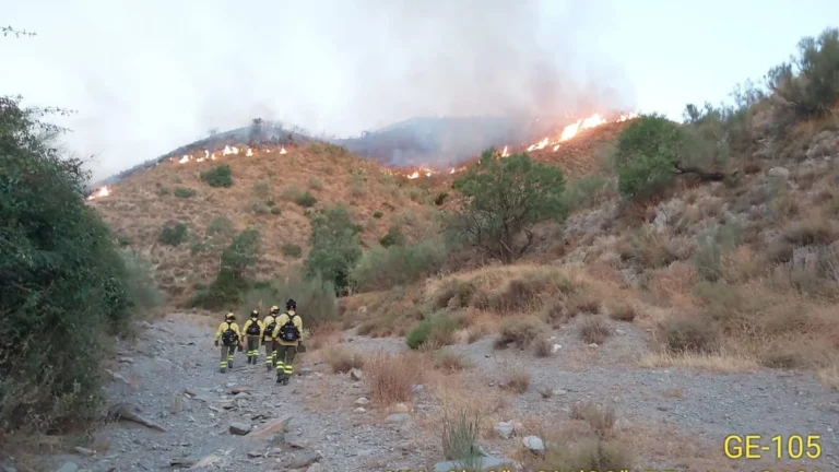 El alcalde de Lubrín respalda crear un retén del INFOCA en Bédar tras el incendio que ha devastado 400 hectáreas