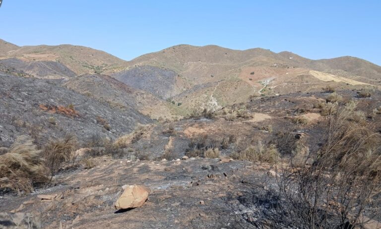 400 hectáreas quemadas en el incendio de Lubrín, “ya controlado, pero no extinguido”