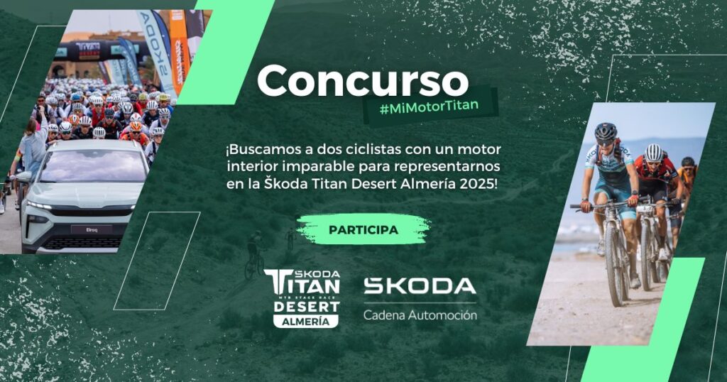 easypromos Skoda Agosto