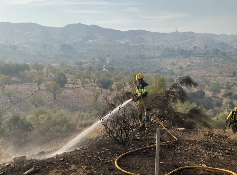 Favorable evolución del incendio de Lubrín que logra estabilizarse esta tarde