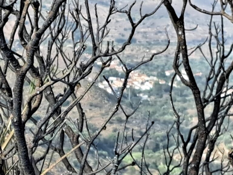 El incendio de Lubrín queda controlado tras arrasar más de 1.100 hectáreas