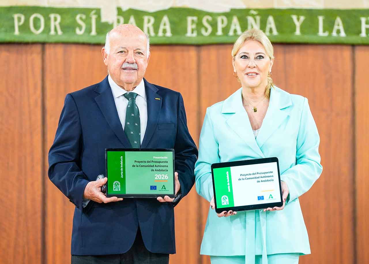 Palos y zanahorias para la comarca en los presupuestos de la Junta