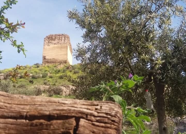 El colectivo Overa Viva pide «salvar» el Castillo «ante su estado de abandono»