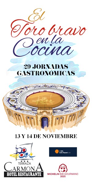 11 TERRAZA CARMONA-TORO