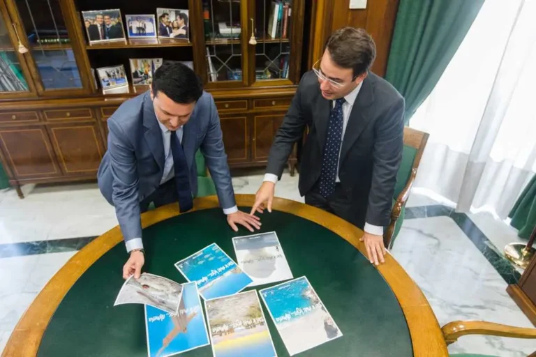 La UCO detiene al presidente y vicepresidente de la Diputación de Almería y al alcalde de Fines por el ‘caso mascarillas’