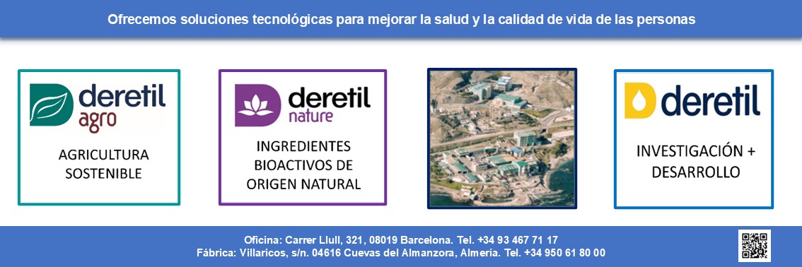 12 DERETIL - BANNER DIC 2025