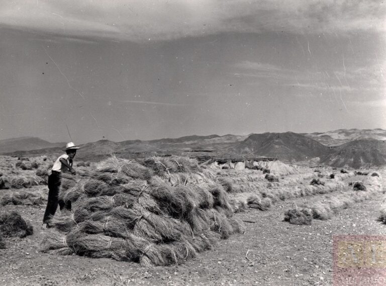 La cara y la cruz de la ‘Cultura del Esparto’