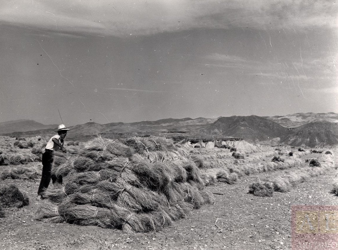 La cara y la cruz de la ‘Cultura del Esparto’