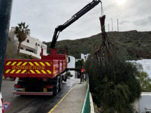 La borrasca provoca caídas de árboles, incidencias en colegios y cortes de carreteras