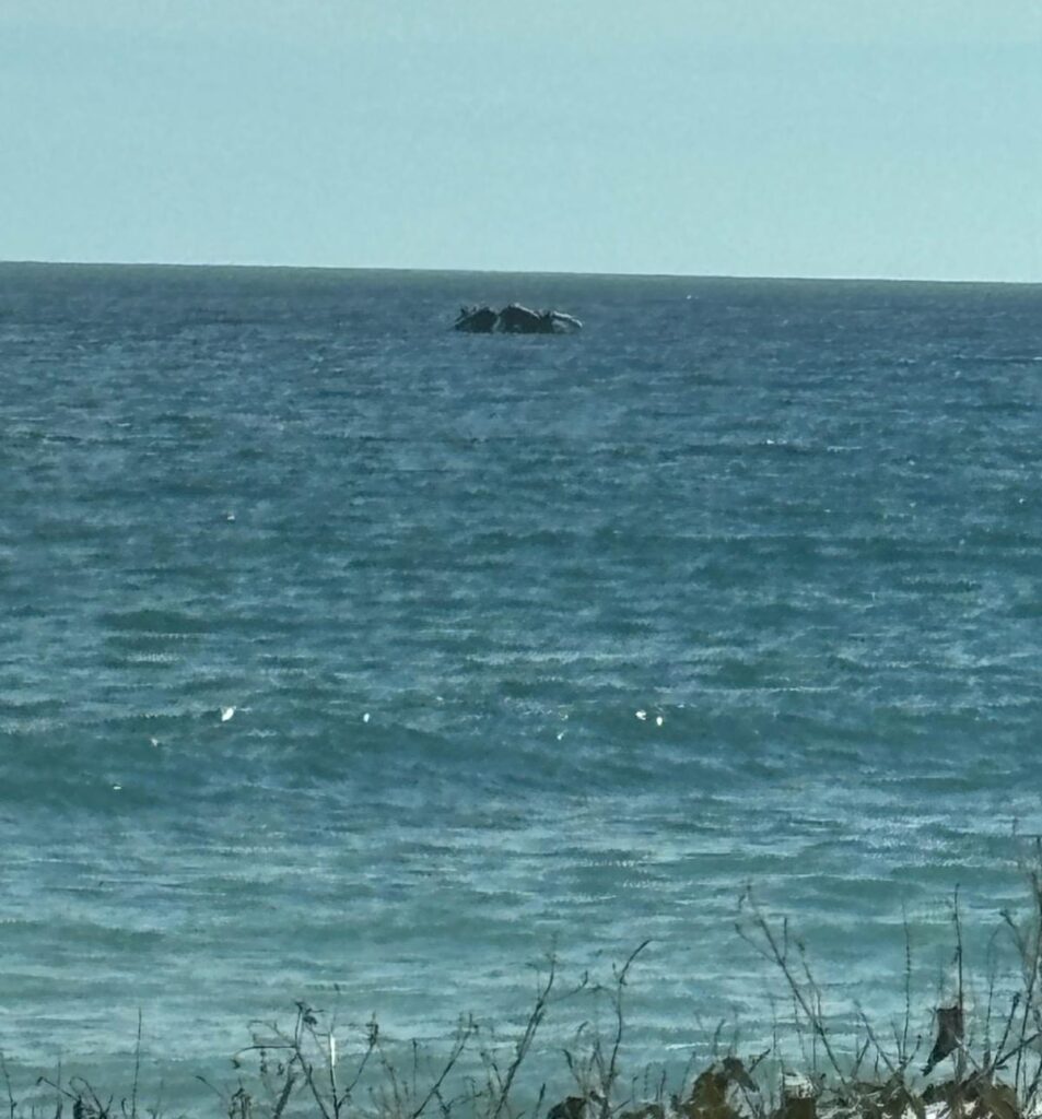 Independientes de la Guardia Civil reacciona ante la avalancha de narcolanchas en el Levante