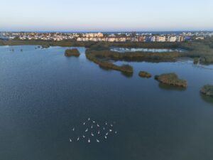 Vera convierte en público el humedal del Salar de los Canos tras años de lucha vecinal