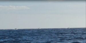 El narcotráfico se instala en la costa del Levante con la misma normalidad que el temporal