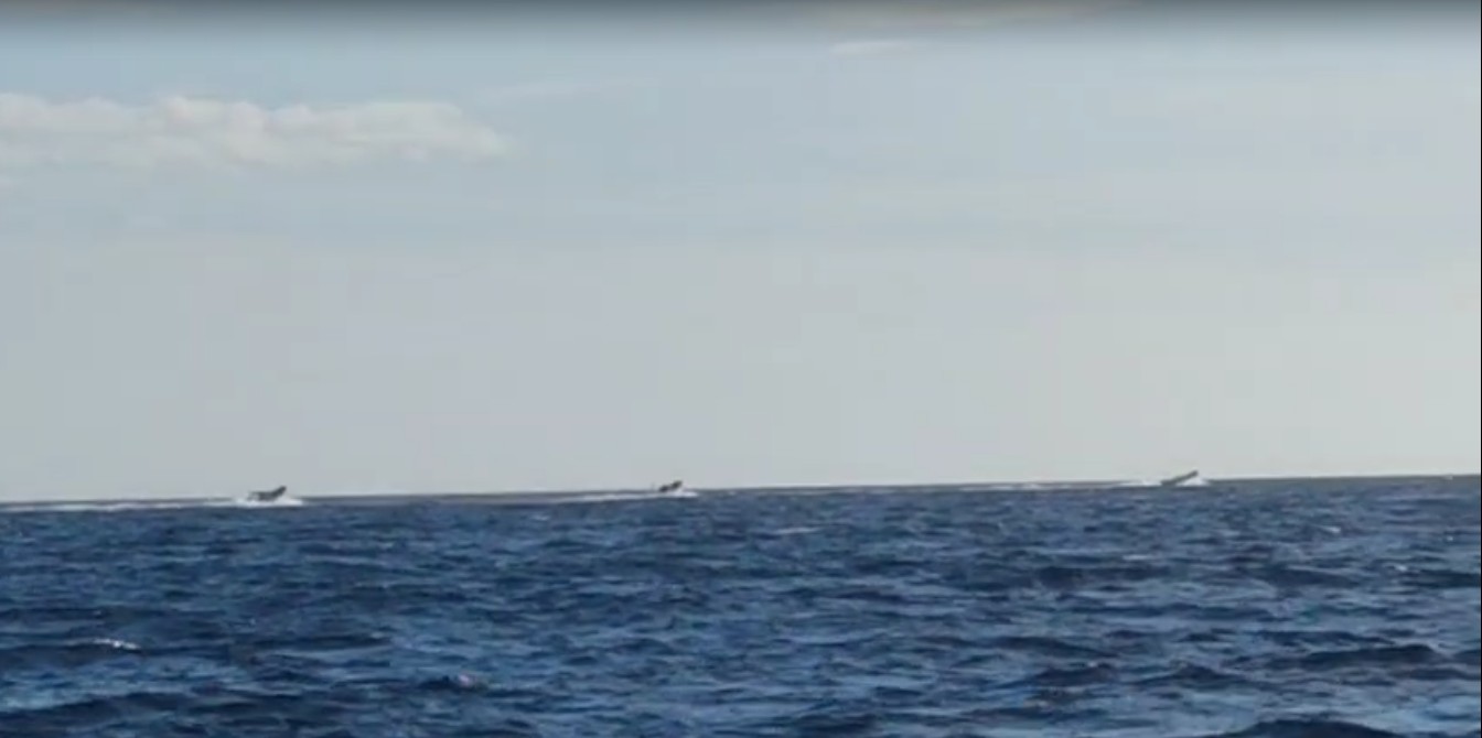 El narcotráfico se instala en la costa del Levante con la misma normalidad que el temporal