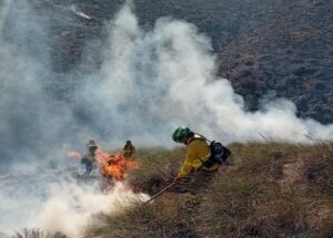 Controlado el incendio forestal de Carboneras tras una mañana de intenso trabajo aéreo y terrestre