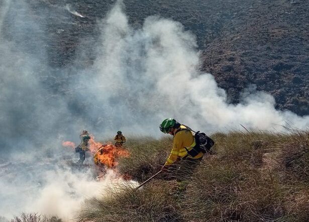Controlado el incendio forestal de Carboneras tras una mañana de intenso trabajo aéreo y terrestre