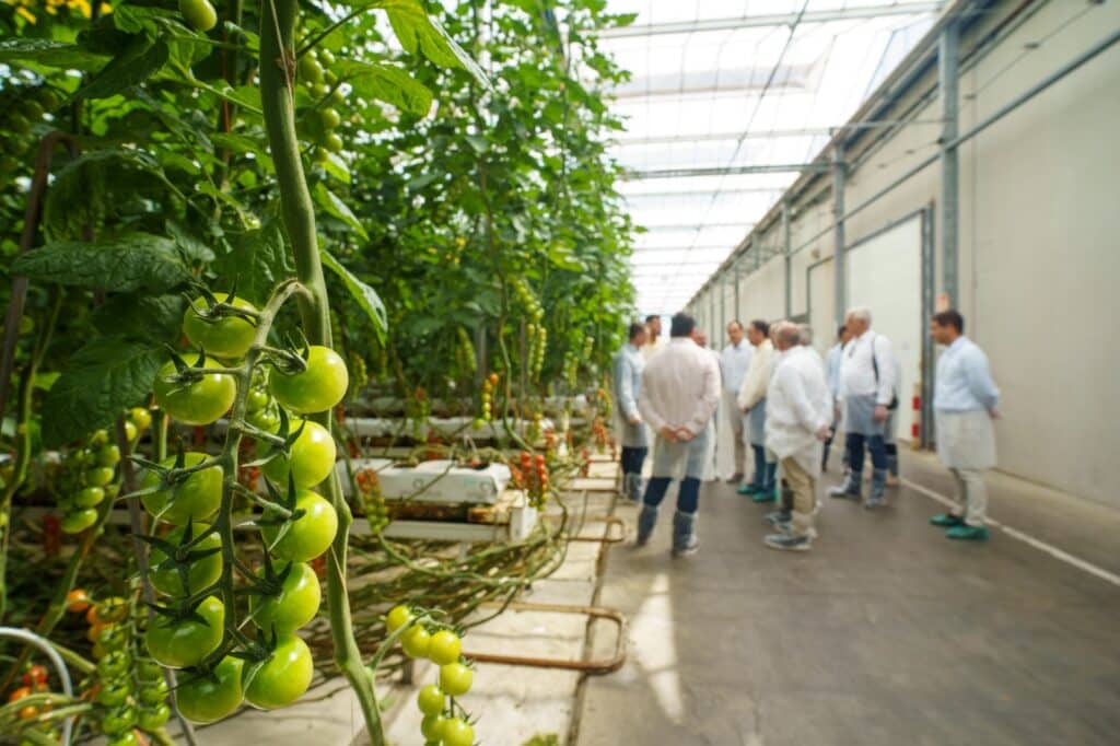 Vera y Antas respaldan un proyecto de agua regenerada para más de mil agricultores