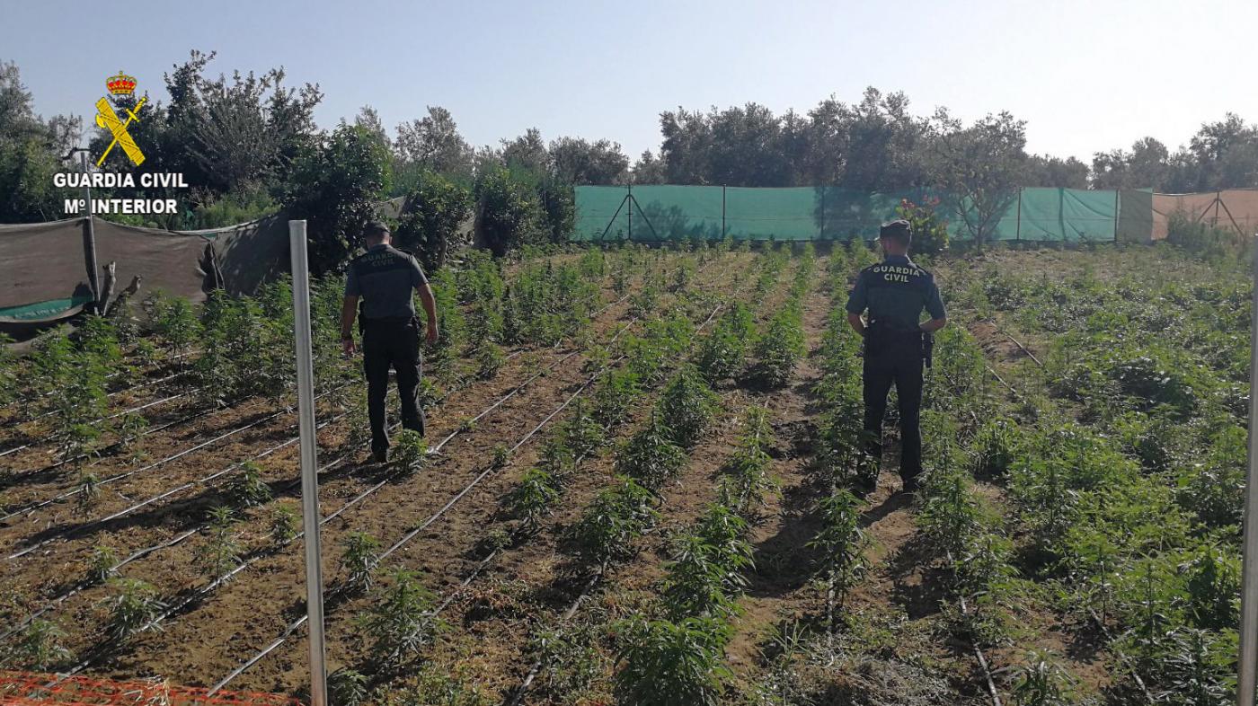 Muerto a golpes de azada en Zurgena: el acusado se enfrentará a un jurado popular