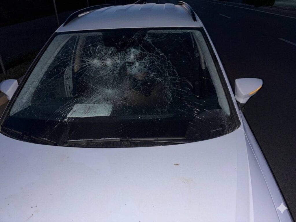 Detenido en Vera un hombre desnudo tras arrojar objetos a vehículos, lesionar a una persona y causar daños en bienes