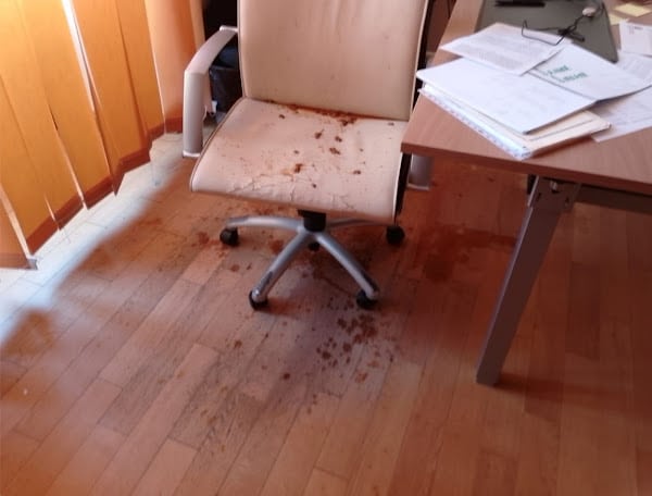 Heces y orines en el despacho del alcalde de Garrucha: piden 18 meses de cárcel