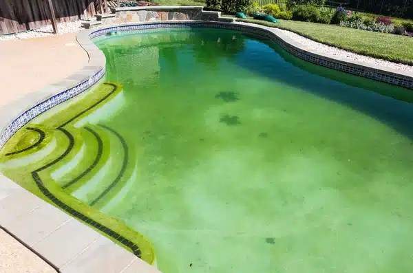 Drones en Pulpí para detectar piscinas sucias: multas y limpieza forzosa para los dueños