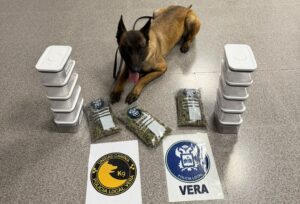 Detenido por tráfico de drogas en Vera tras un control de la Policía Local con unidad canina Detenido por tráfico de drogas en Vera tras un control de la Policía Local con unidad canina