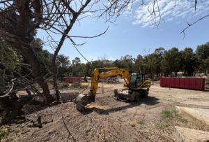 Salvemos Mojácar alerta: tala de árboles en uno de los últimos espacios verdes de la playa