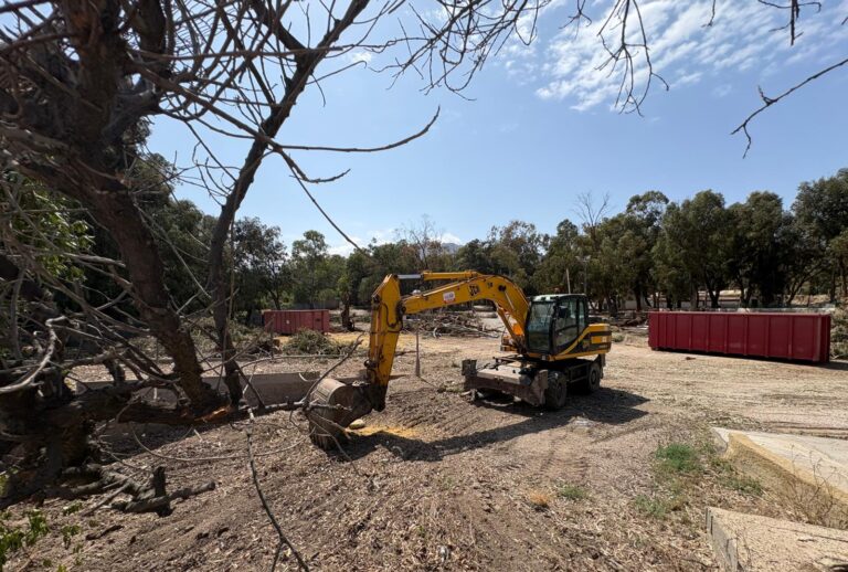 Salvemos Mojácar alerta: tala de árboles en uno de los últimos espacios verdes de la playa
