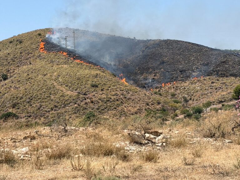 Controlado el incendio forestal de Antas que ha afectado a unas 7 hectáreas de terreno
