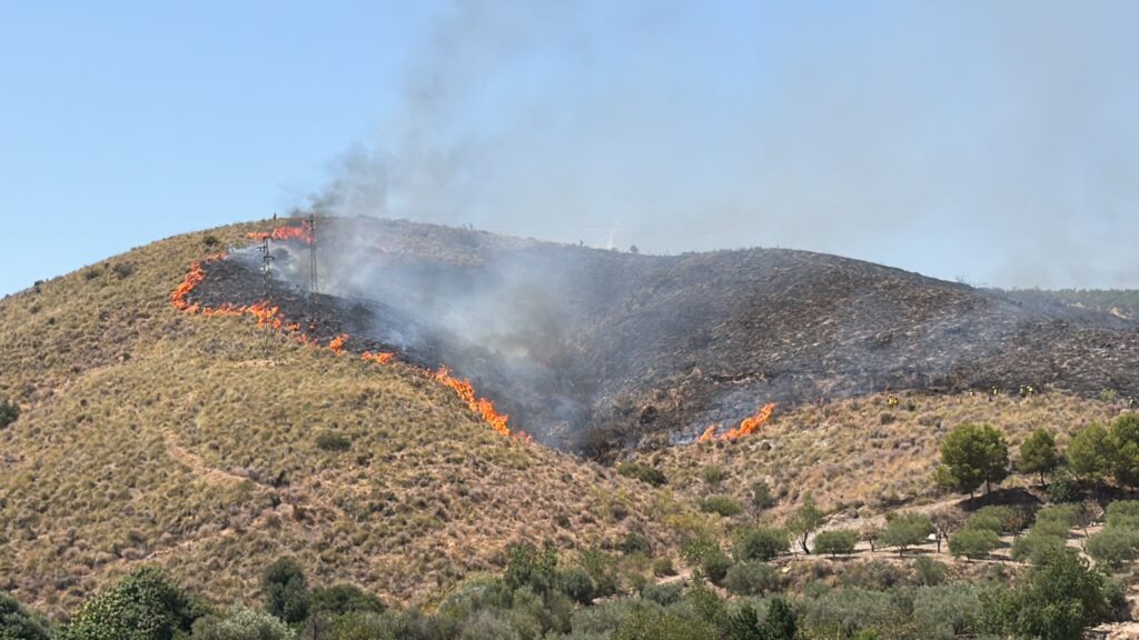 Controlado el incendio forestal de Antas que ha afectado a unas 7 hectáreas de terreno
