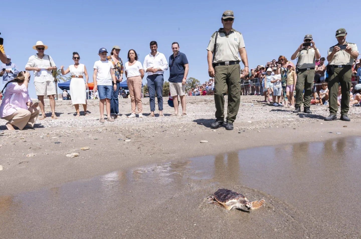 Las 27 tortugas bobas que sobrevivieron a un brote ven el mar un año después de nacer de un nido de 99 huevos en Mojácar