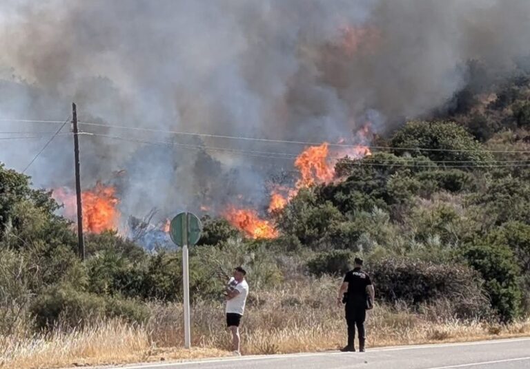 Controlado el incendio de Sopalmo (Mojácar): los vecinos regresan a sus casas