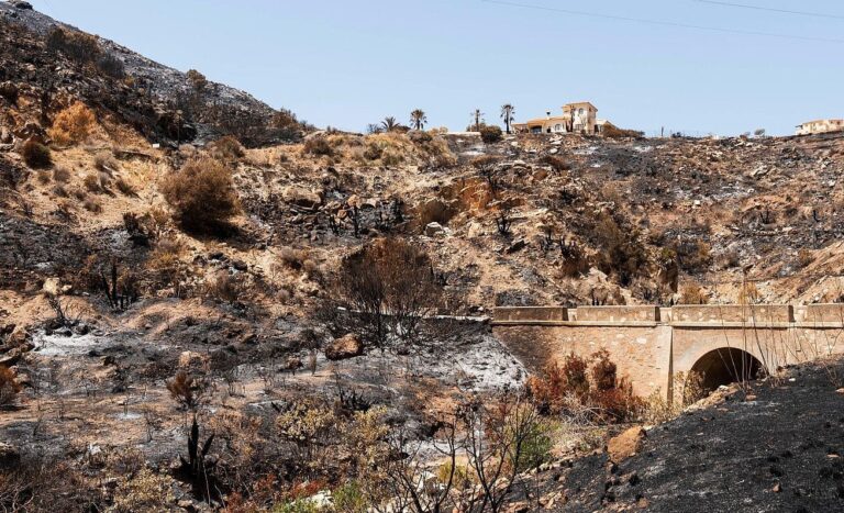Identificadas las 13 víctimas del incendio de Los Gallardos: 7 británicas, 3 belgas, 1 francesa, 1 estadounidense y 1 español