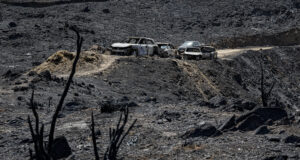 Identificados siete de los fallecidos en el incendio de Los Gallardos Identificados siete de los fallecidos en el incendio de Los Gallardos