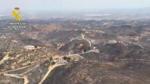 Sin bajas de ganado, pero sin pastos: el fuego ha castigado a 19 explotaciones en el Levante