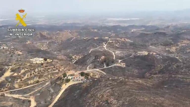 Sin bajas de ganado, pero sin pastos: el fuego ha castigado a 19 explotaciones en el Levante