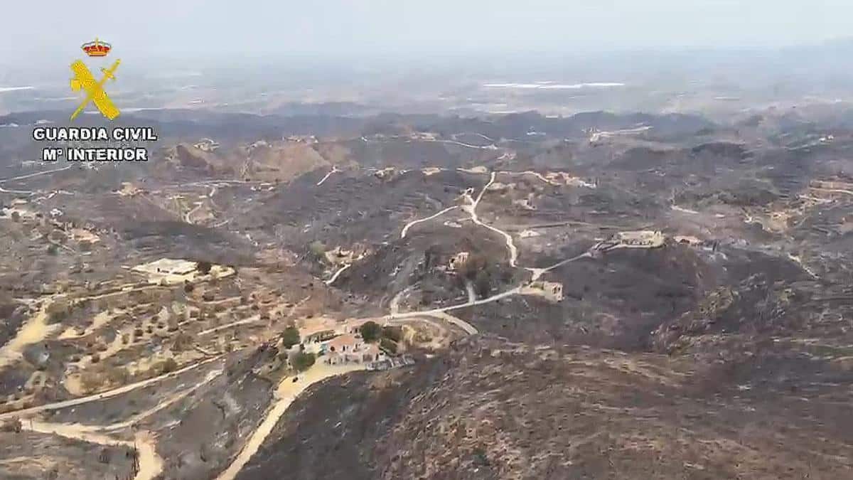 Sin bajas de ganado, pero sin pastos: el fuego ha castigado a 19 explotaciones en el Levante