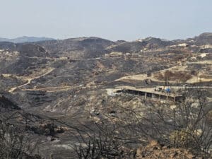 Lo que ha ardido en Bédar: una "isla verde" única en el sureste europeo Lo que ha ardido en Bédar: una "isla verde" única en el sureste europeo