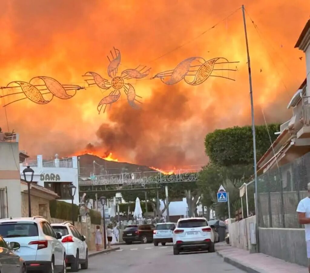 Doce fallecidos, numerosos heridos y más de 3.000 hectáreas quemadas en el incendio de Los Gallardos, que avanza hacia la autovía Doce fallecidos, numerosos heridos y más de 3.000 hectáreas quemadas en el incendio de Los Gallardos, que avanza hacia la autovía
