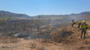 Otro fuego en Lubrín, sofocado en una hora por los mismos bomberos que combaten el incendio de Los Gallardos Otro fuego en Lubrín, sofocado en una hora por los mismos bomberos que combaten el incendio de Los Gallardos