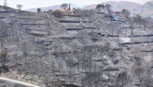 FACUA denuncia: Los municipios almerienses carecen de plan de incendios en una Andalucía que incumple los protocolos