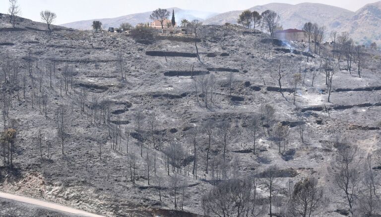FACUA denuncia: Los municipios almerienses carecen de plan de incendios en una Andalucía que incumple los protocolos